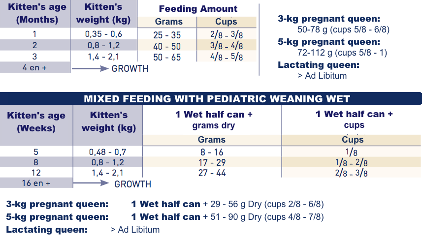 rc weaning kitten