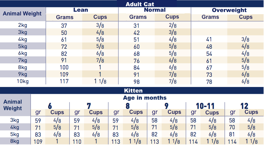 Royal Canin Gastrointestinal Kibbles For Cats With Digestive Issues Direct Vet