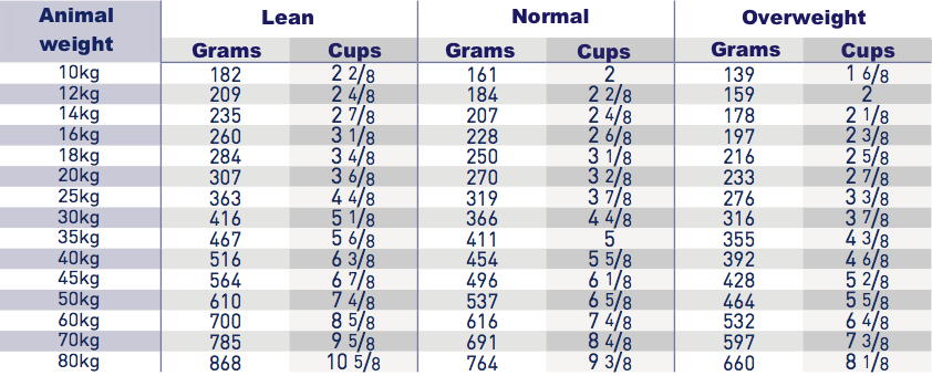 Kibbles Royal Canin Dental DLK22