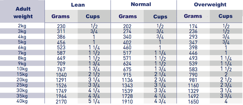 Royal Canin Recovery Feeding Guide 2024