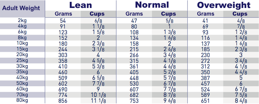 Royal Canin Hepatic for dogs