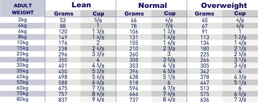 Royal Canin Renal Dogs